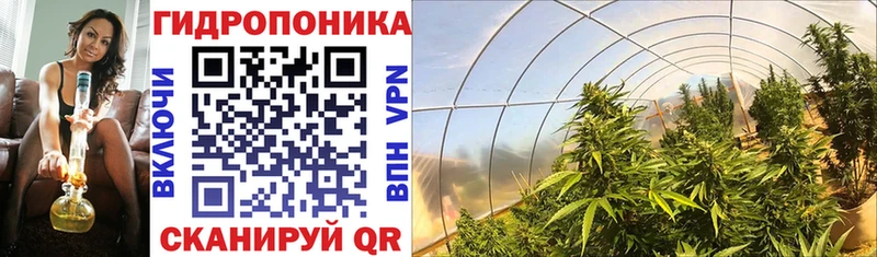 Бошки марихуана THC 21%  Закаменск 